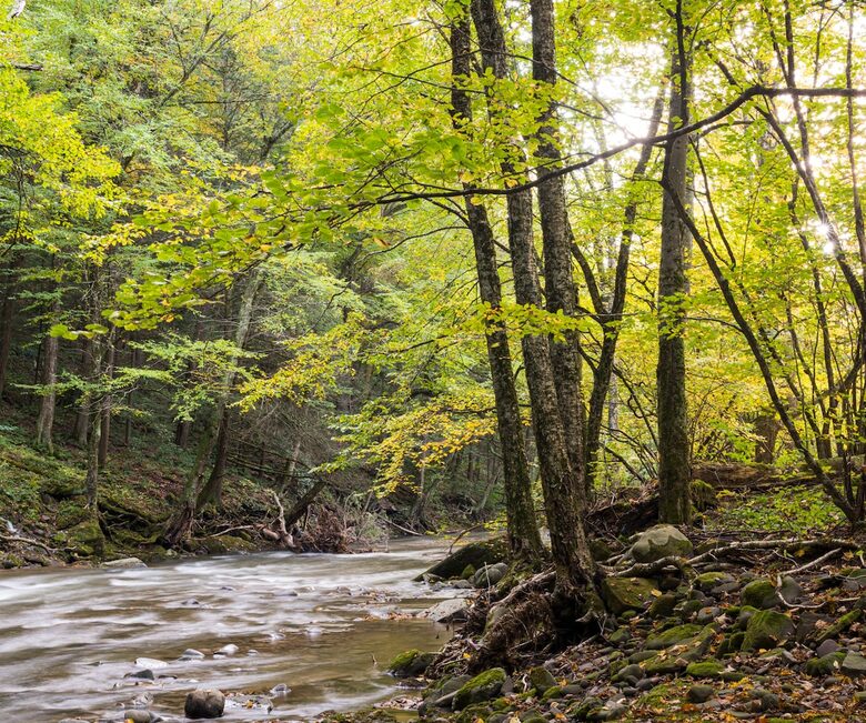 A Private Compound for Restoration & Gathering - North Branch, New York