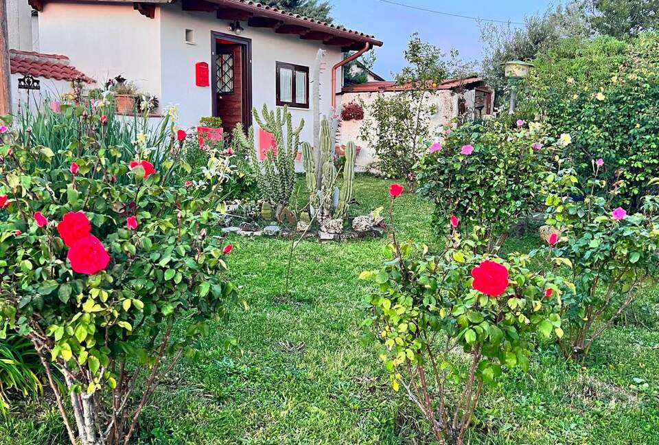 Tranquil Roman Escape with Private Outdoor Living - Gallicano nel Lazio, Italy