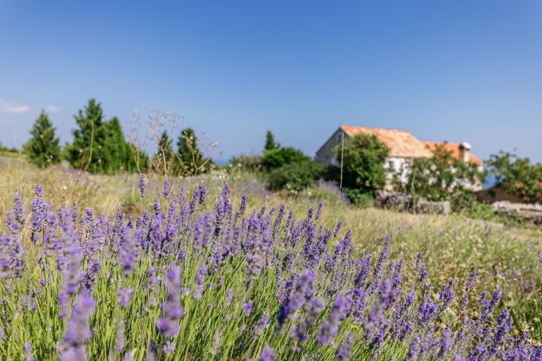 Lavender-Framed Luxury Villa with Panoramic Sea Views - Gromin Dolac, Jelsa, Croatia