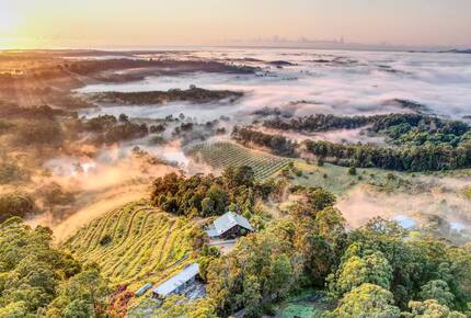 Elevated Elegance with Ocean Sunrise Views - Newee Creek, Australia