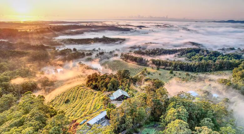 Elevated Elegance with Ocean Sunrise Views - Newee Creek, Australia