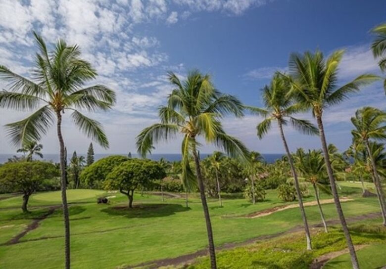 Lopaka Punana - "Robert's Nest" - Kona Kailua, Big Island, Hawaii