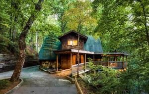 Nature-Inspired Escape in the Smokies - Gatlinburg, Tennessee