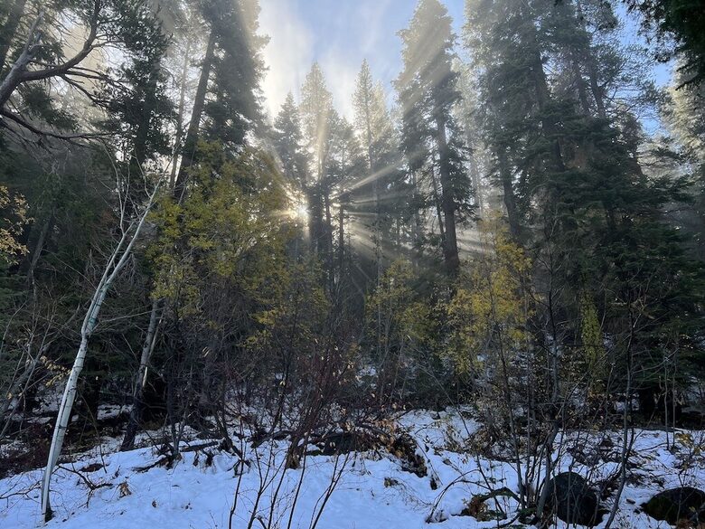 Scenic Lakefront Tahoe Sanctuary - Truckee, California