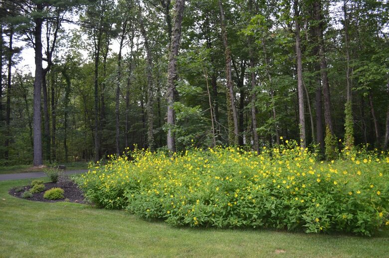 Elegant Escape with Pool in Saratoga’s Premier Neighborhood - Saratoga Springs, New York