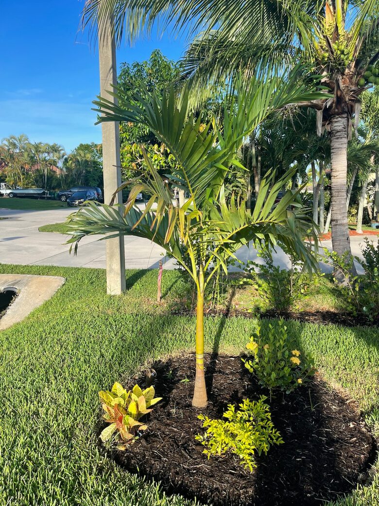 A Vibrant Retreat Near Naples Beach - Naples, Florida