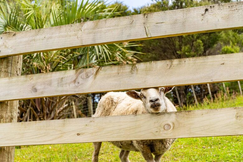 Pebblebrooke Views | A Tasteful Country Retreat in Mangawhai - Mangawhai, New Zealand