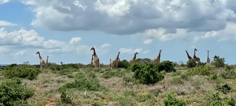 Exclusive Off-Grid Lodge Near Addo National Park - Addo, South Africa