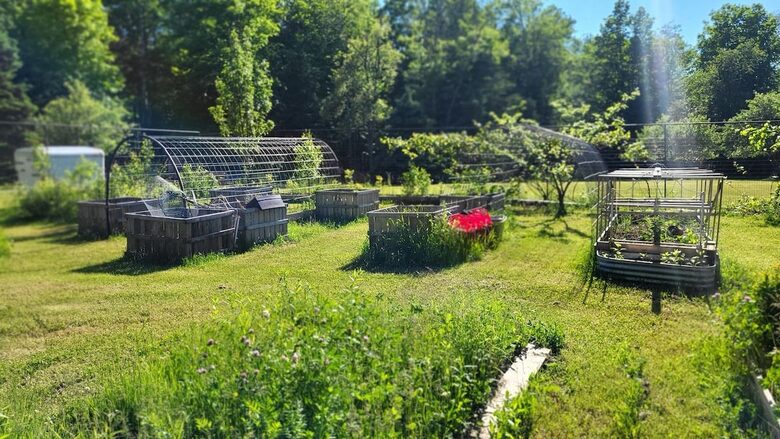 Relaxed Country Living Minutes from Lake Superior - L'Anse, Michigan
