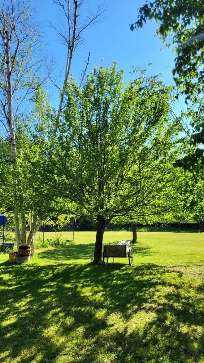 Relaxed Country Living Minutes from Lake Superior - L'Anse, Michigan