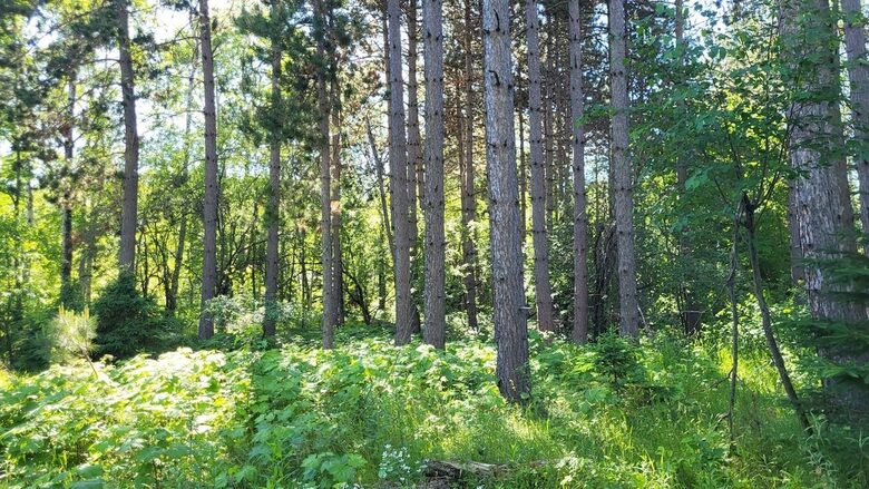 Relaxed Country Living Minutes from Lake Superior - L'Anse, Michigan