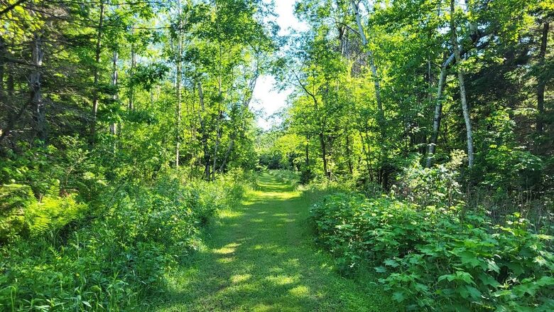 Relaxed Country Living Minutes from Lake Superior - L'Anse, Michigan