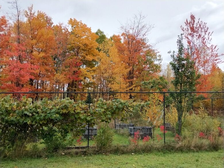 Relaxed Country Living Minutes from Lake Superior - L'Anse, Michigan