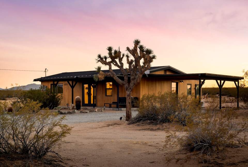 Restored 1955 Homestead in Joshua Tree - Joshua Tree, California