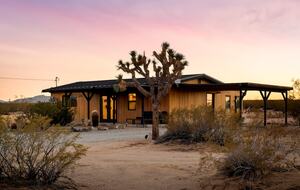 Restored 1955 Homestead in Joshua Tree - Joshua Tree, California