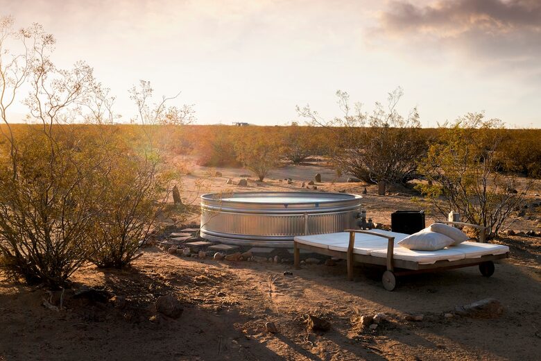 Restored 1955 Homestead in Joshua Tree - Joshua Tree, California
