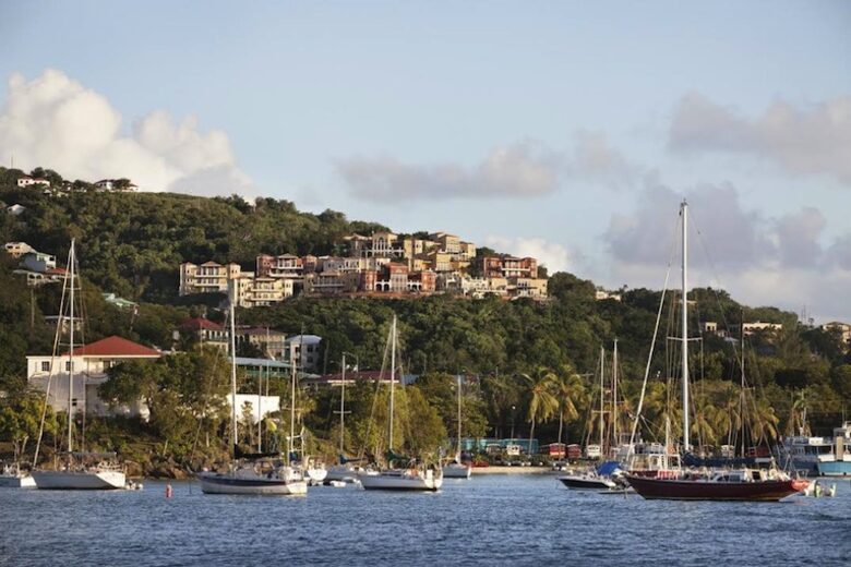 View from Cruz Bay