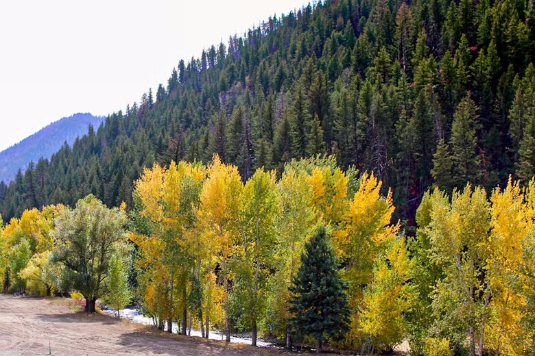 Stylish Sun Valley Retreat Near Slopes, Trails & Downtown Charm - Ketchum, Idaho