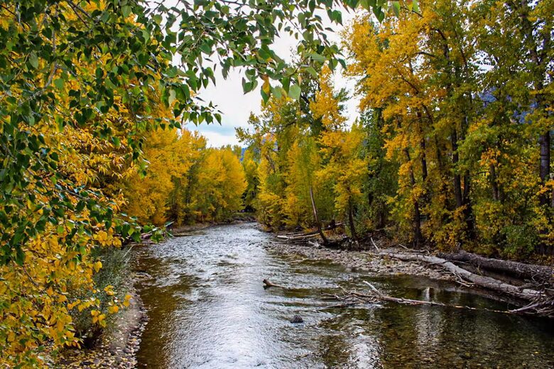 Stylish Sun Valley Retreat Near Slopes, Trails & Downtown Charm - Ketchum, Idaho