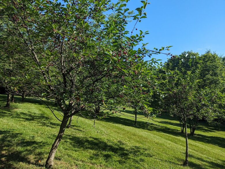 Peaceful Retreat Near Harpers Ferry and Loudoun Wineries - Lovettsville, Virginia
