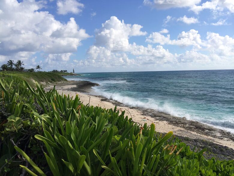 Panoramic Sea Views & Six King Suites in the Abacos - Elbow Cay, Bahamas