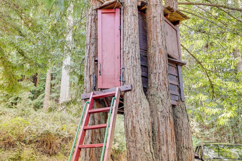 Redwoods & River | A Sonoma Sanctuary - Occidental, California