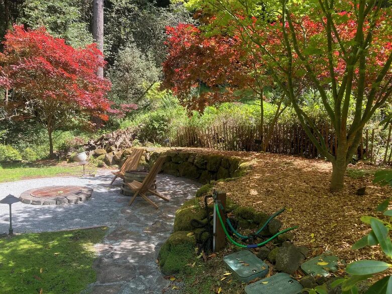 Redwoods & River | A Sonoma Sanctuary - Occidental, California