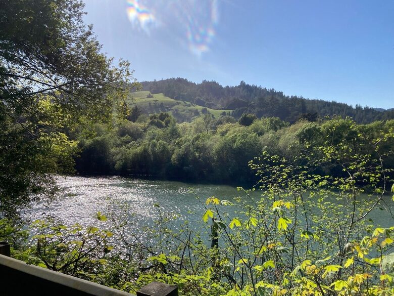 Redwoods & River | A Sonoma Sanctuary - Occidental, California