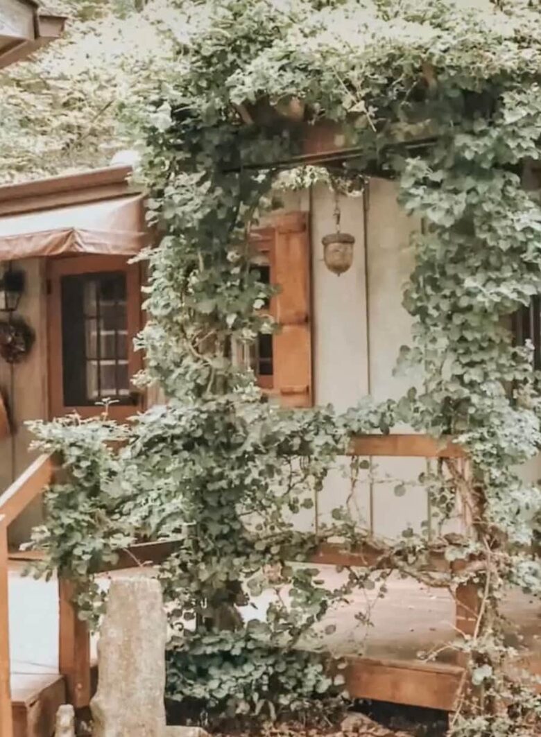 Blue Ridge Retreat in Historic Valle Crucis - Banner Elk, North Carolina