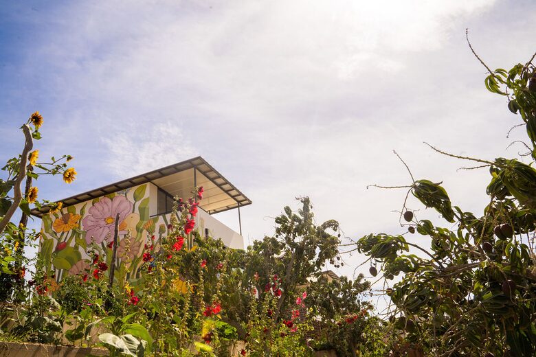 Flora Farms - The Lofts at Flora - 1 Bedroom - San Jose del Cabo, Mexico