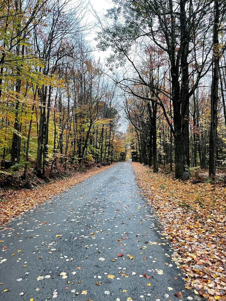 Timeless Charm on 14 Private Acres in Montgomery - Montgomery, Vermont