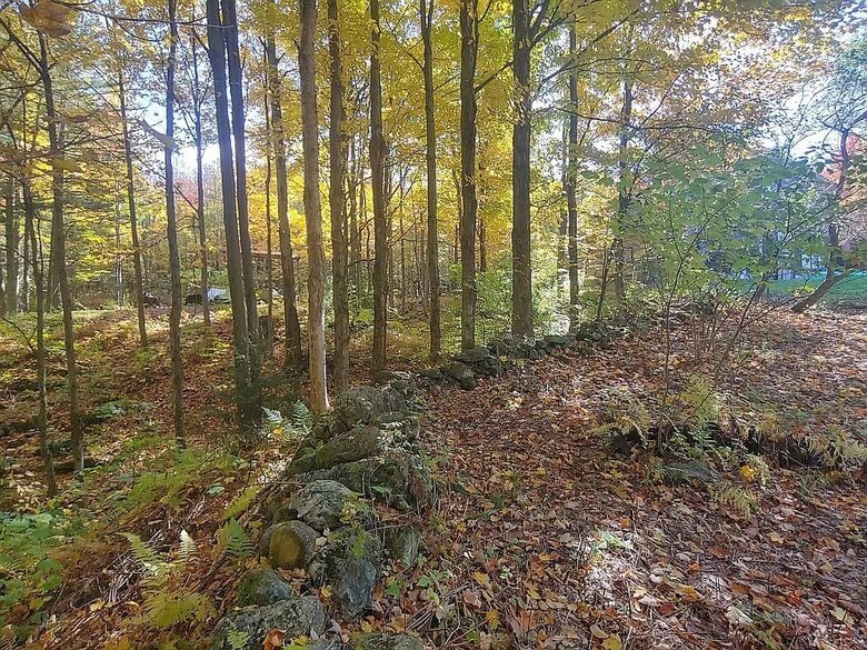 Timeless Charm on 14 Private Acres in Montgomery - Montgomery, Vermont