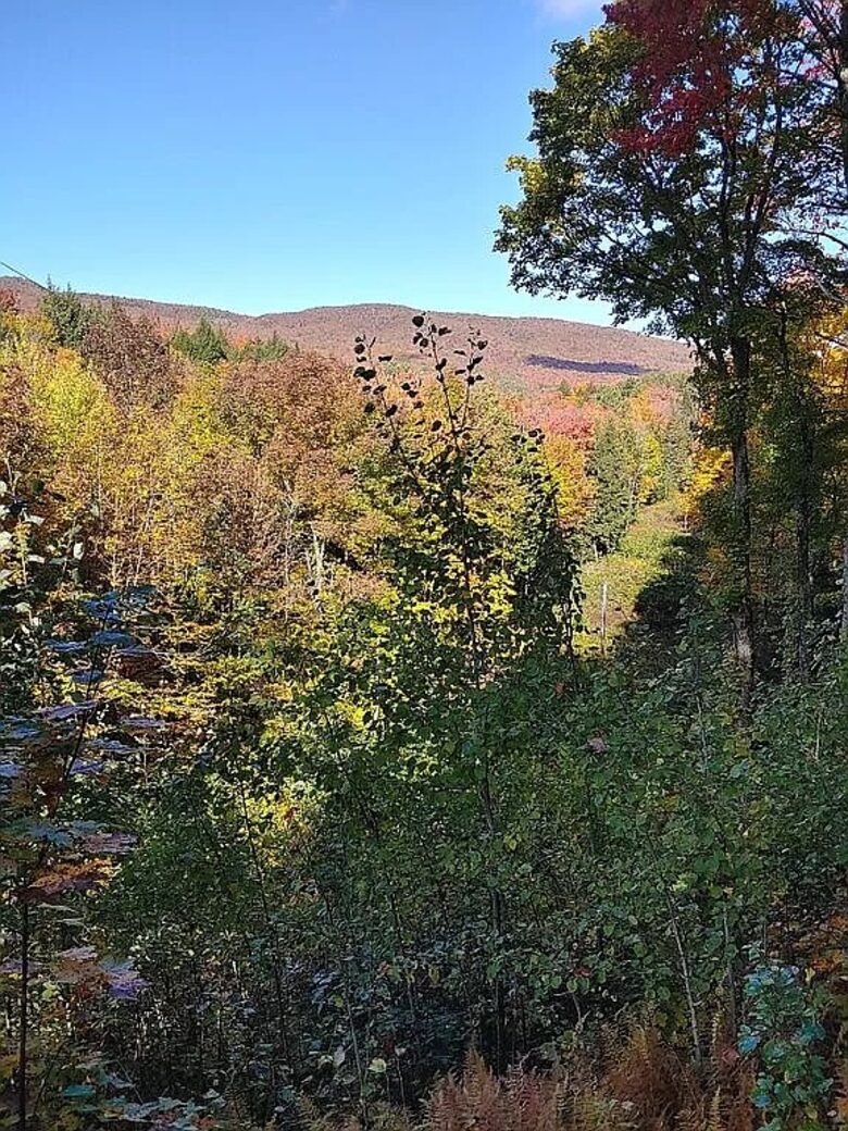 Timeless Charm on 14 Private Acres in Montgomery - Montgomery, Vermont