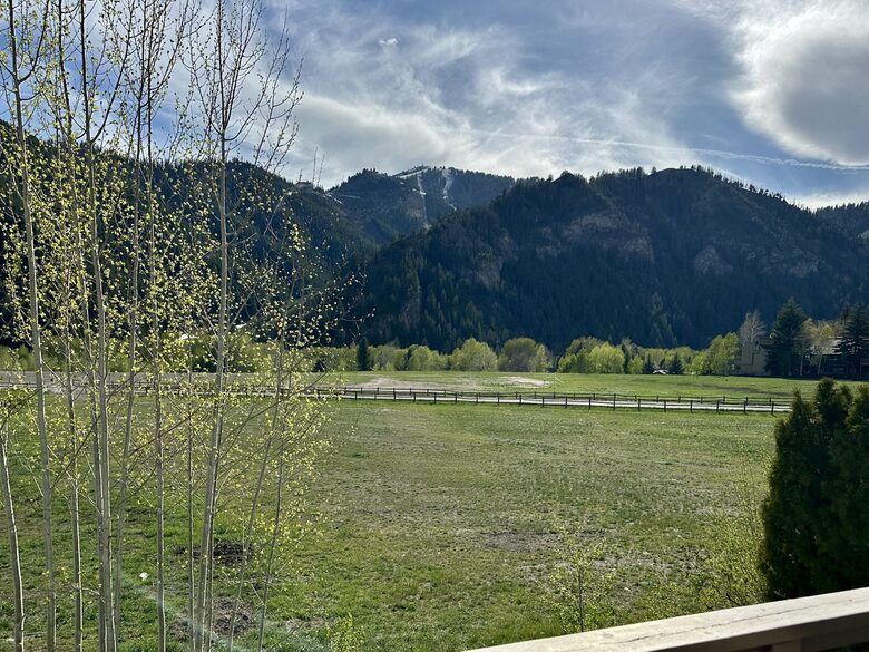 View outside Living room