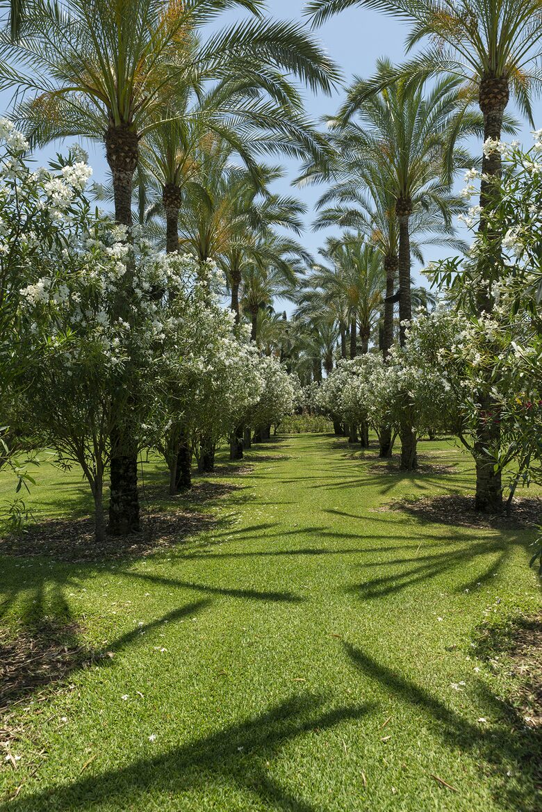 Finca La Cuadra - Coín, Spain