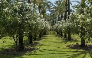 Finca La Cuadra - Coín, Spain