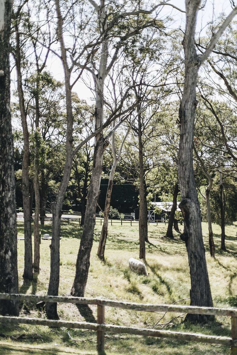 The Homestead at Bundara Farm - Berry, Australia