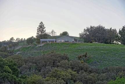 Illumination Ridge:  visit Paso Robles in Style! - Paso Robles, California