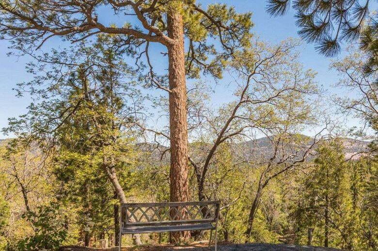 Elegant Big Bear Retreat on 2 Private Acres - Big Bear, California