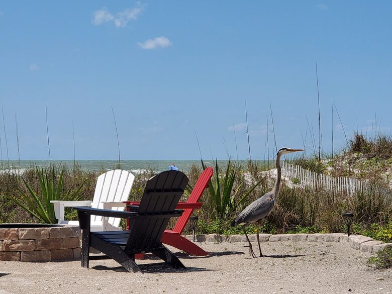 Gulf Coast of Florida - on the Beach - Indian Shores, Florida