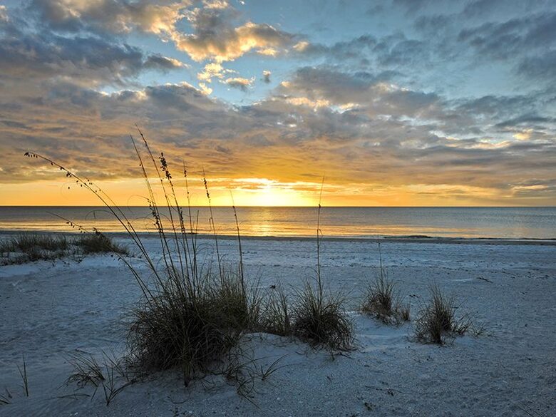 Gulf Coast of Florida - on the Beach - Indian Shores, Florida