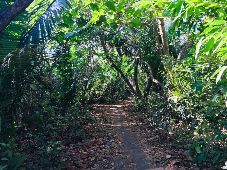 Tranquil Twin Villas Between Two Beaches - Nosara, Costa Rica