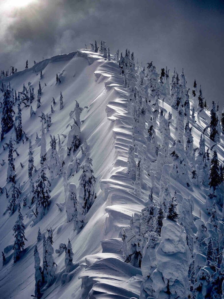Cozy Mountain Escape 10 minutes from Powder Mountain Ski Resort! - Eden, Utah