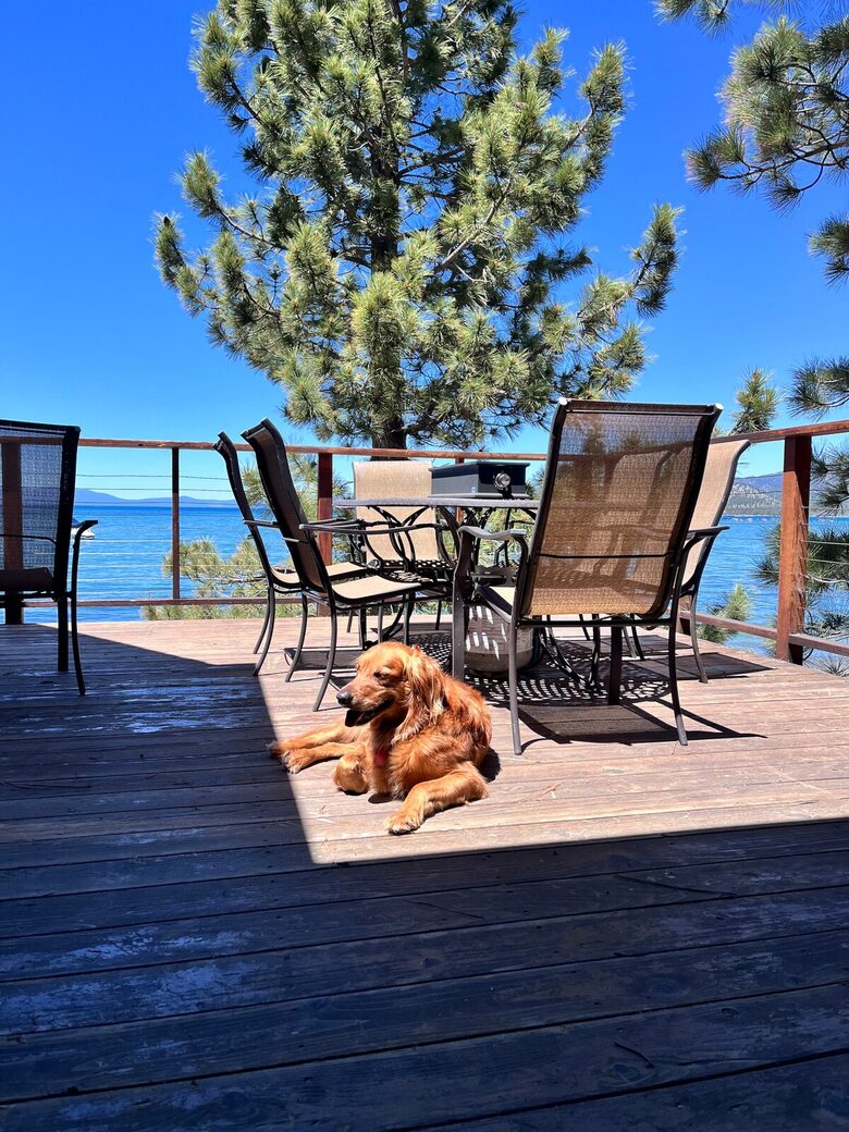 Heavenly Views & Beachfront Bliss in South Lake Tahoe - South Lake Tahoe, California
