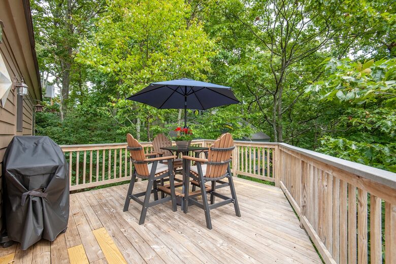 Three Ridges View Cabin - Wintergreen Resort, Virginia