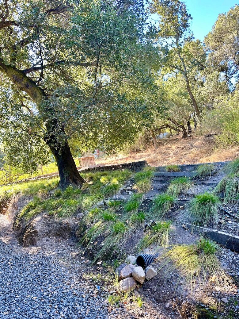 Vineyard Views and Architectural Elegance in Napa Valley - St. Helena, California