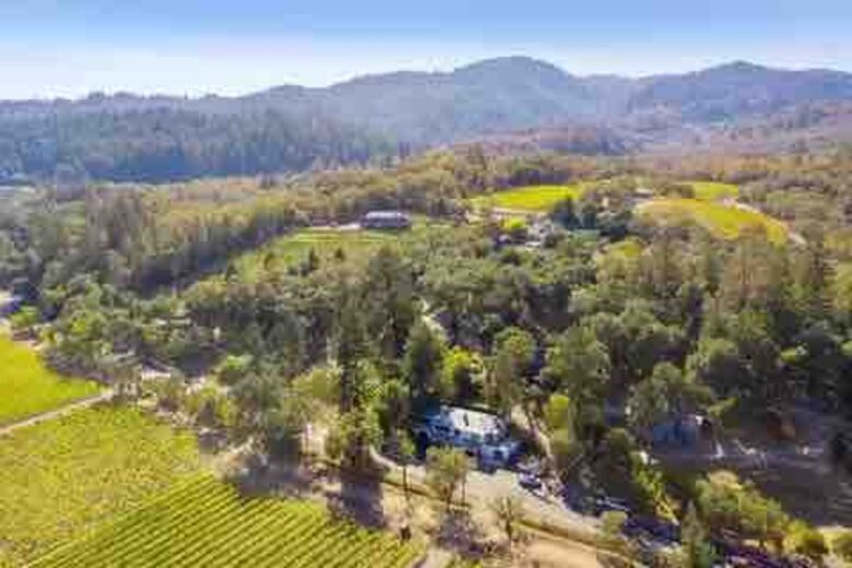 Vineyard Views and Architectural Elegance in Napa Valley - St. Helena, California