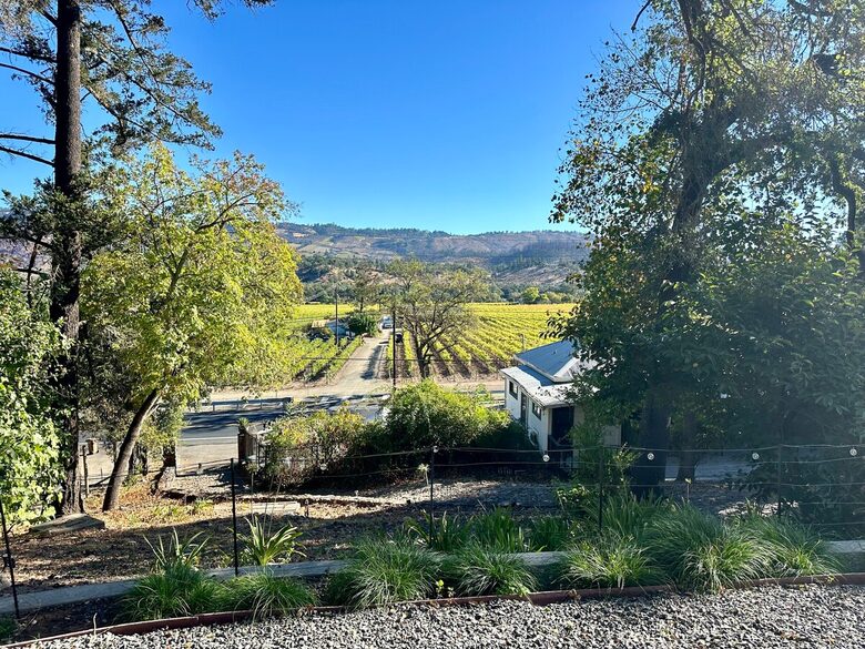 Vineyard Views and Architectural Elegance in Napa Valley - St. Helena, California