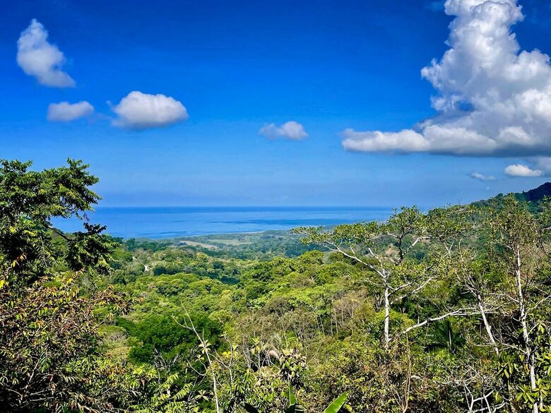 Jungle Elegance with Sweeping Ocean Views - Lagunas, Costa Rica