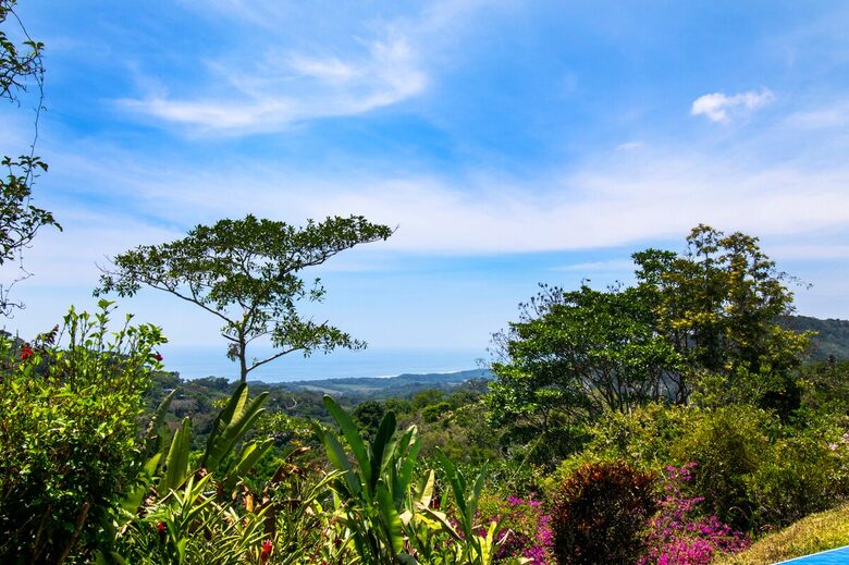Jungle Elegance with Sweeping Ocean Views - Lagunas, Costa Rica